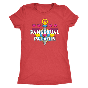 Pansexual Paladin T-shirt - Gemmed Firefly
