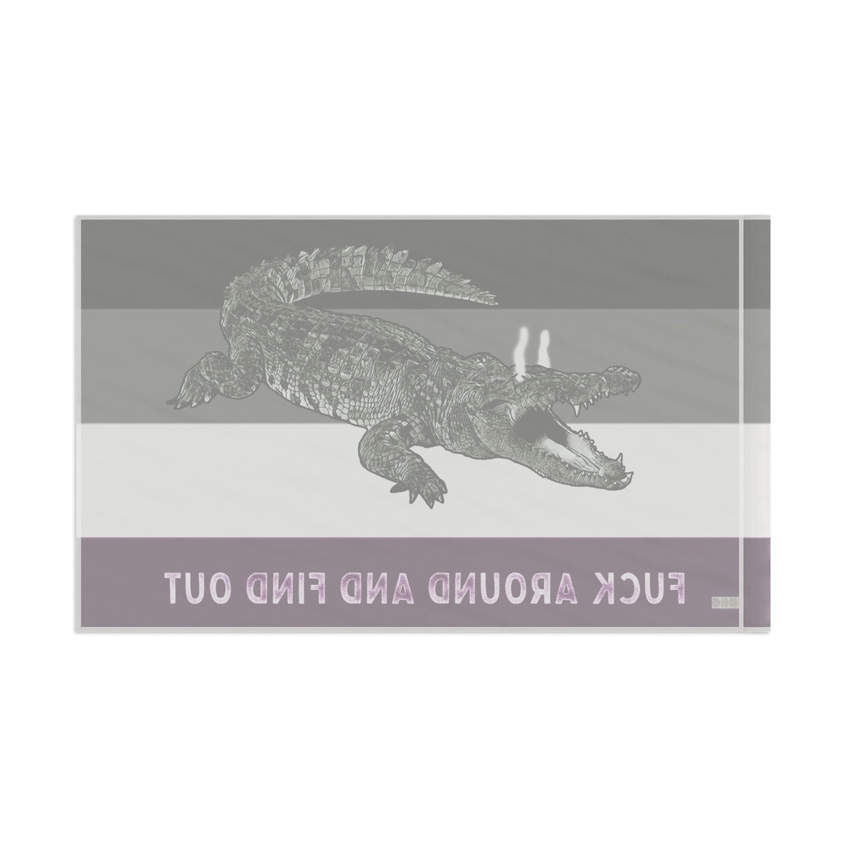 ACE Asexual PRIDE Fuck Around and Find Out Gator Rage Flag Home Decor  - Gemmed Firefly
